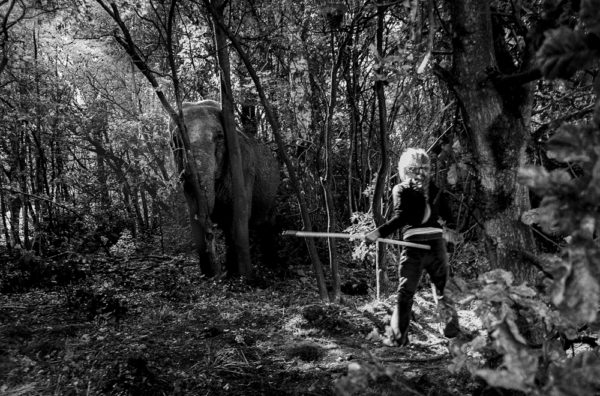 girl and elephant-